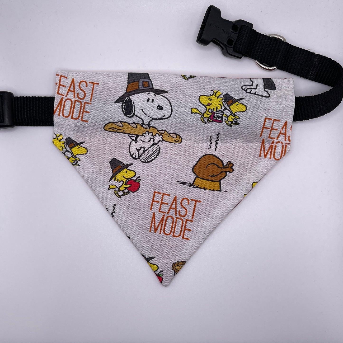 Snoopy Thanksgiving Bandana