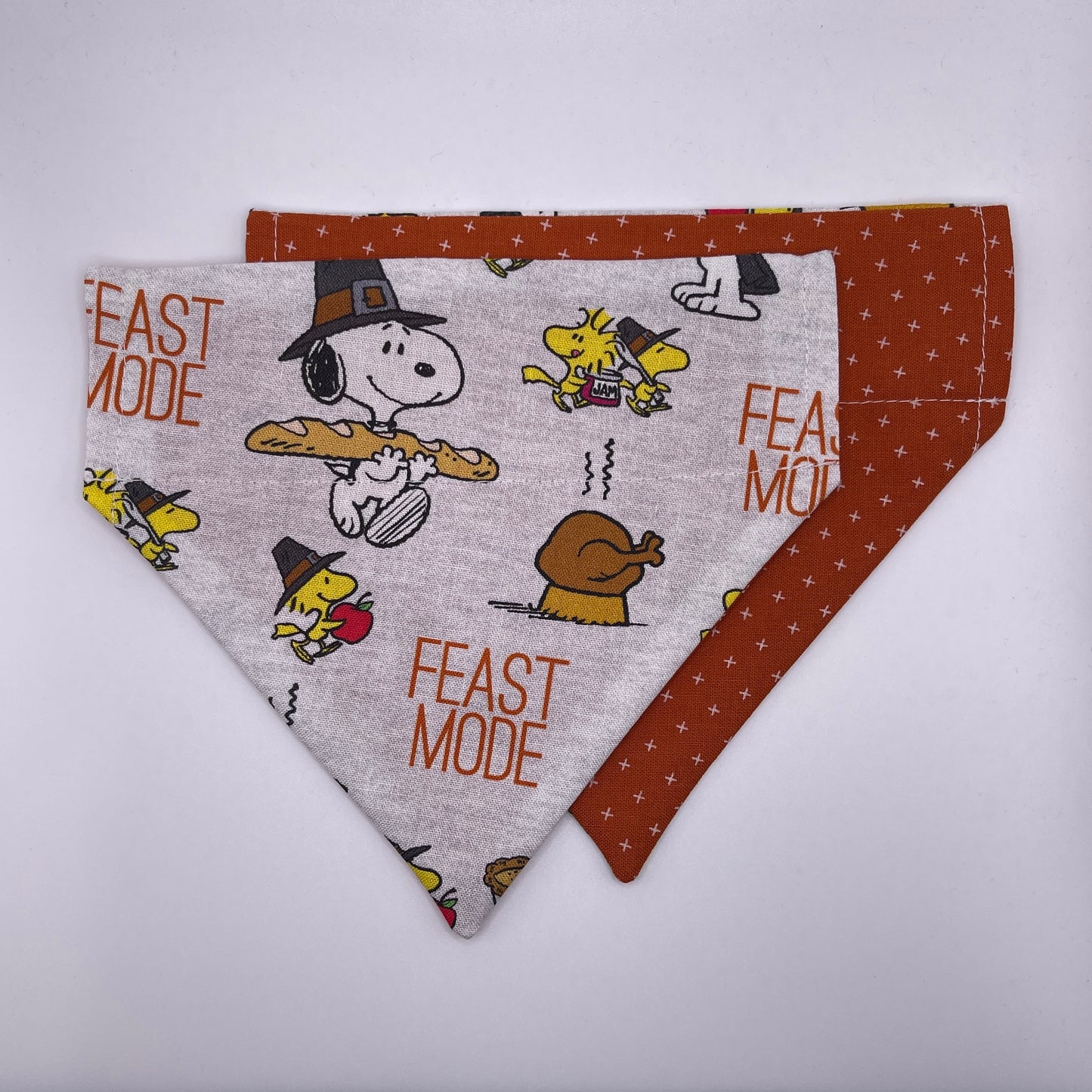 Snoopy Thanksgiving Bandana