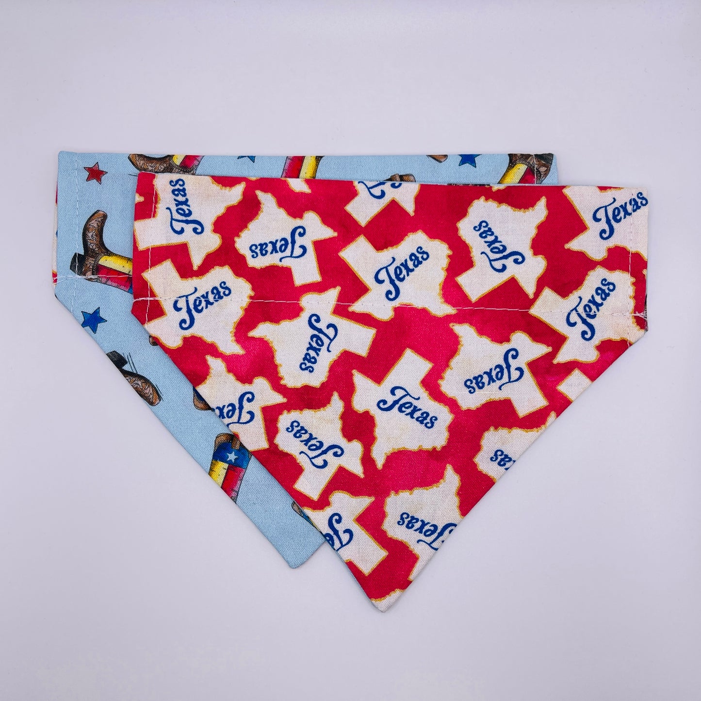 TEXAS Bandana