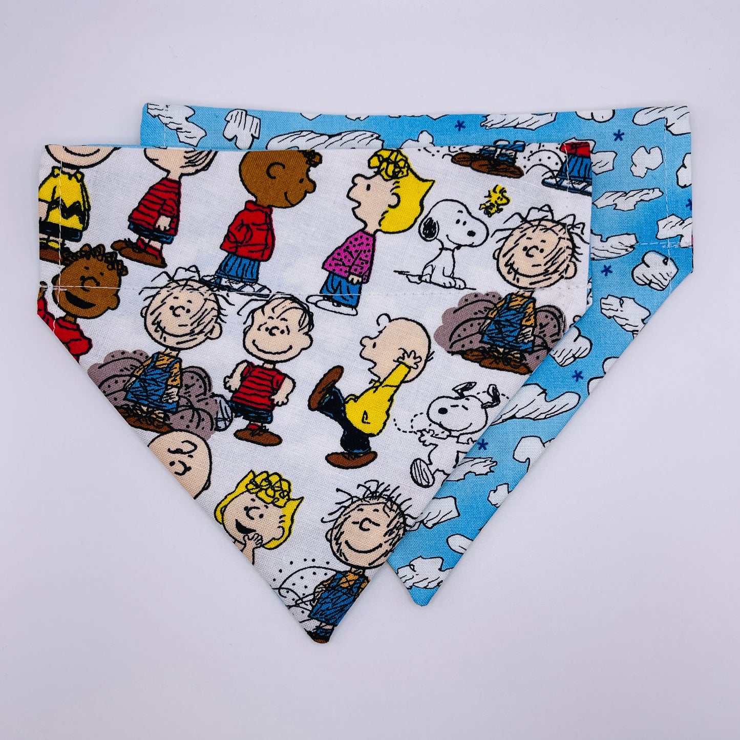 Charlie Brown & Crew Bandana