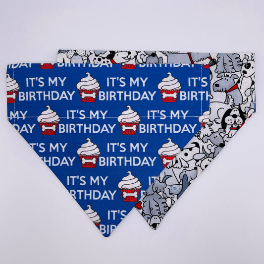 It's My Birthday Bandana