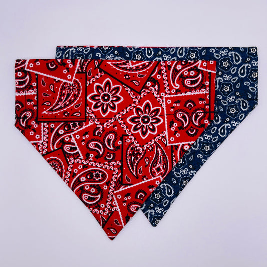 Western Bandana