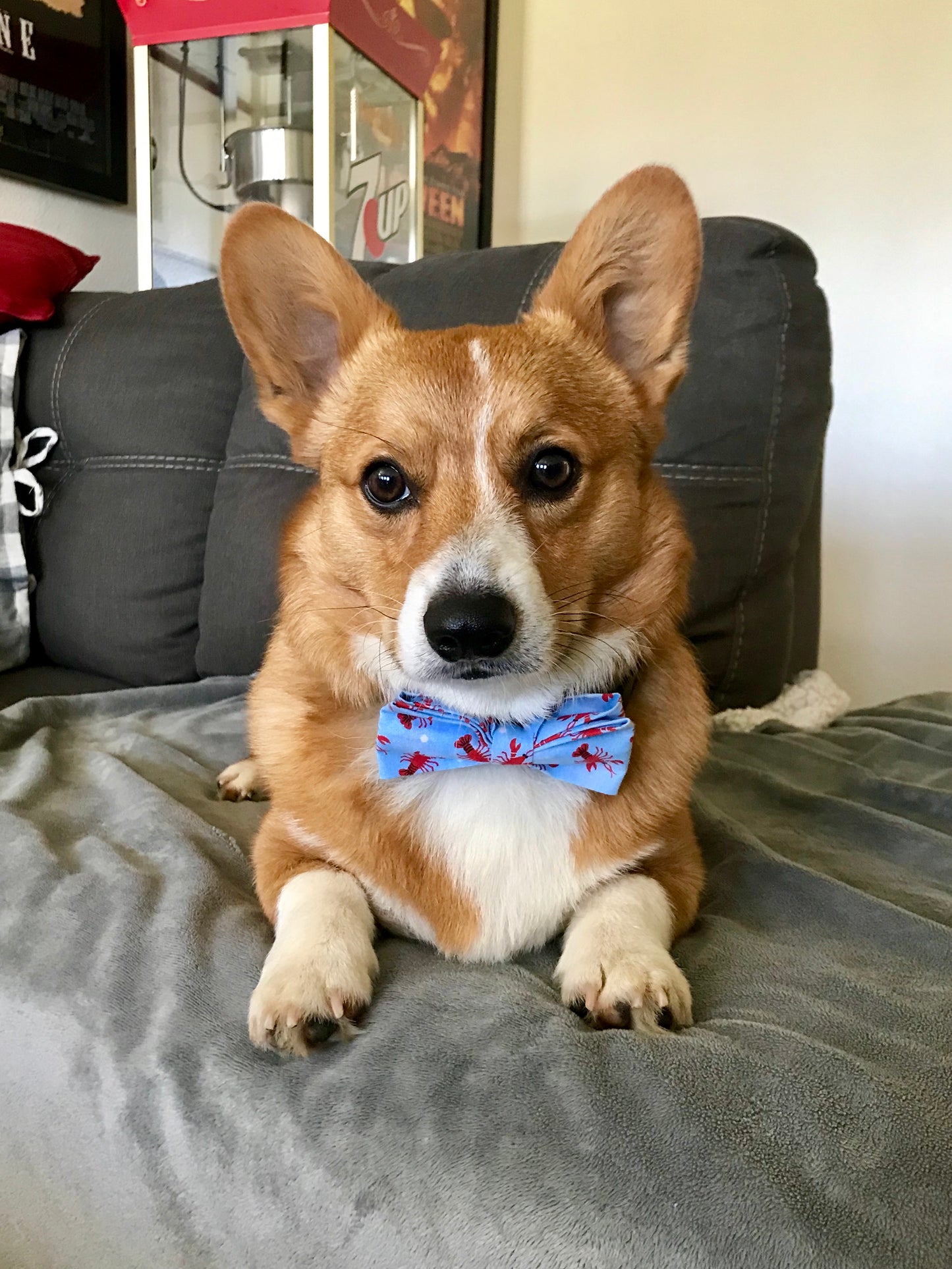 Lobster Bow Tie