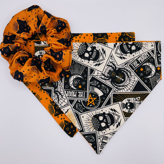 Tarot Cards & Cats Bandana