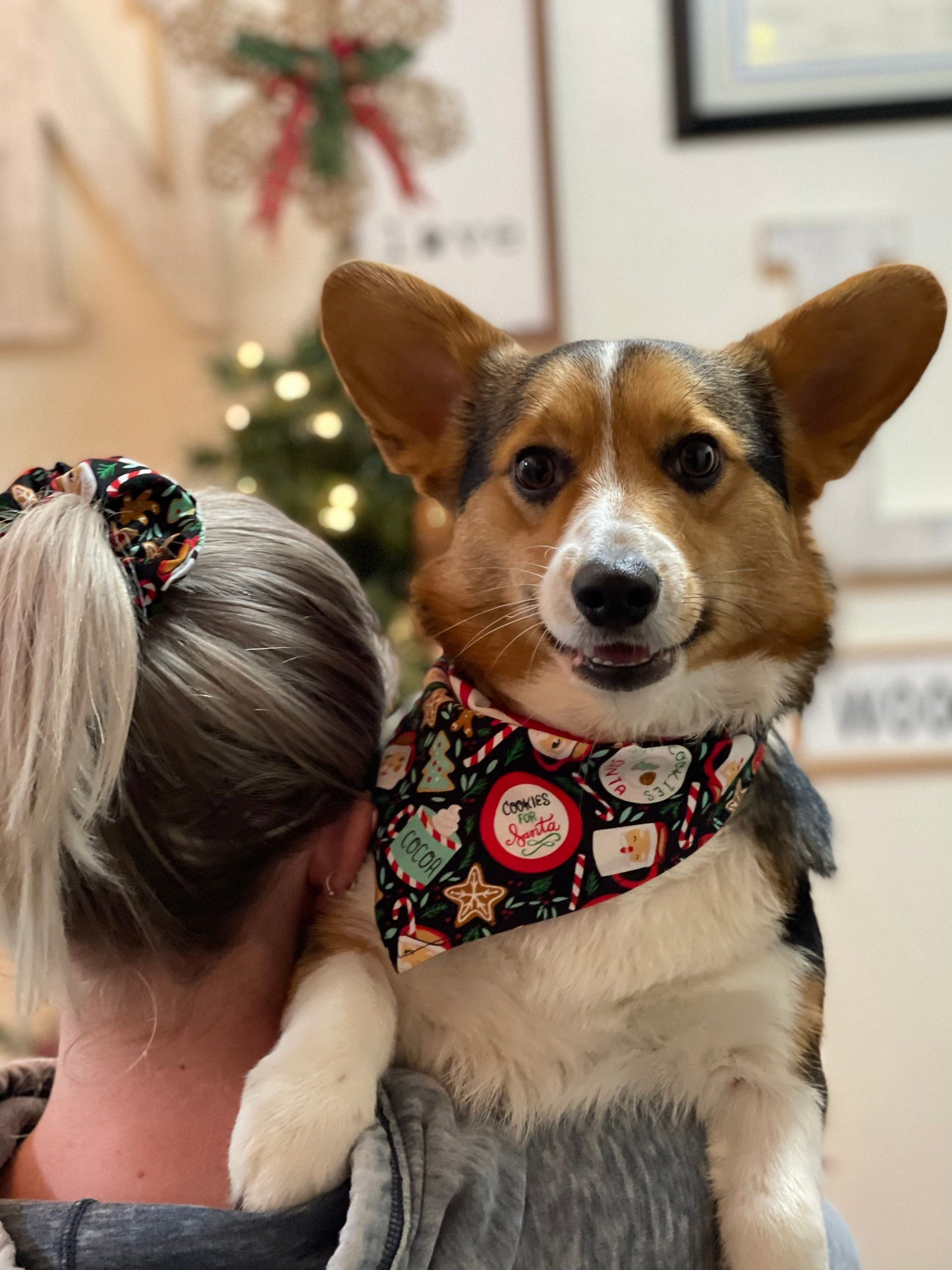 Santa Cookies Tie & Snap Bandana